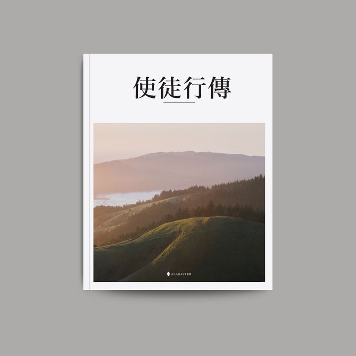 Acts softcover_CUV.jpg
