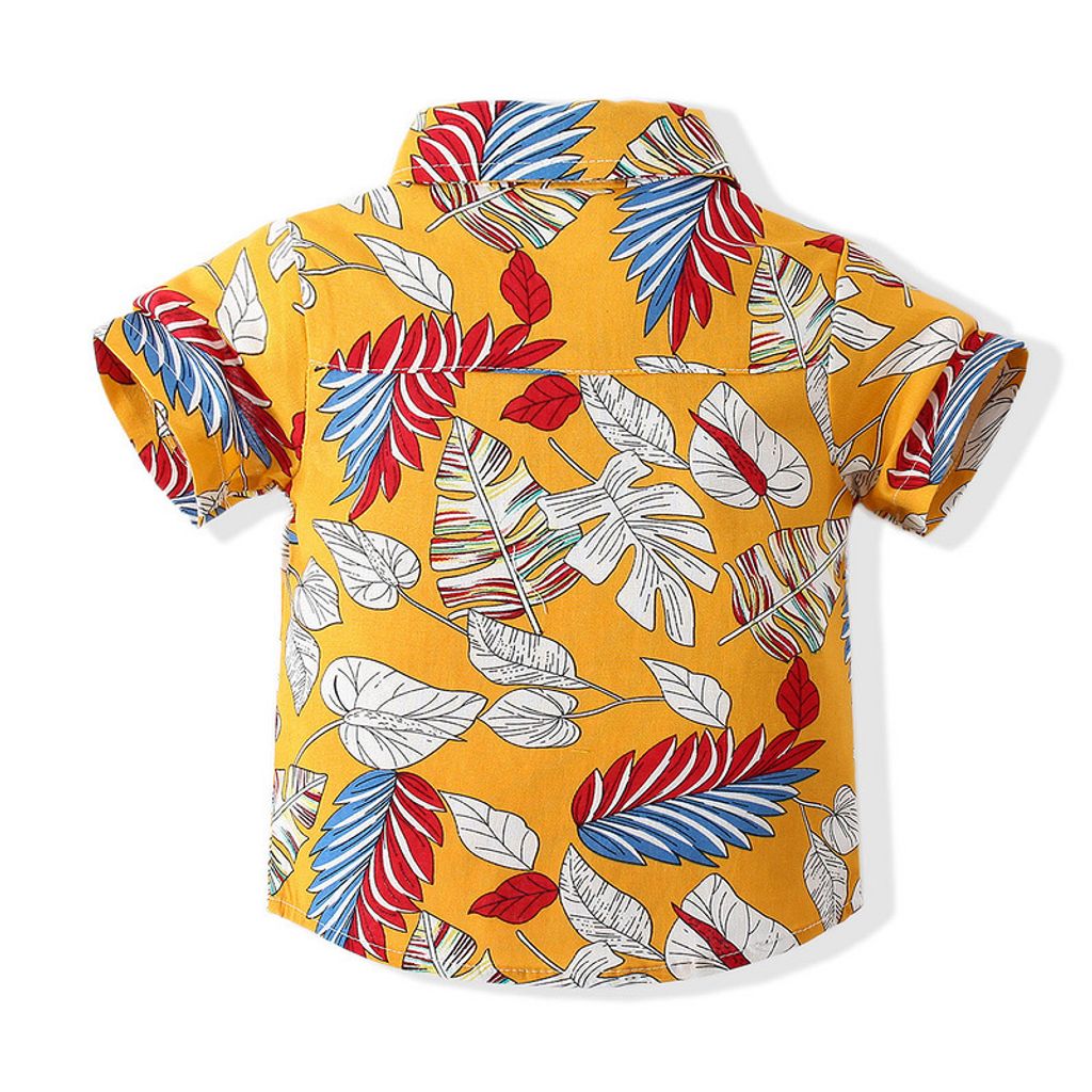 O1CN01hyup6D1iBL2yVMssg_!!1001844374-0-cib