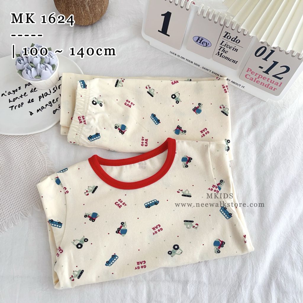 image_89262B0D-FB49-45B5-B41C-7C72B229A38D_1753755588