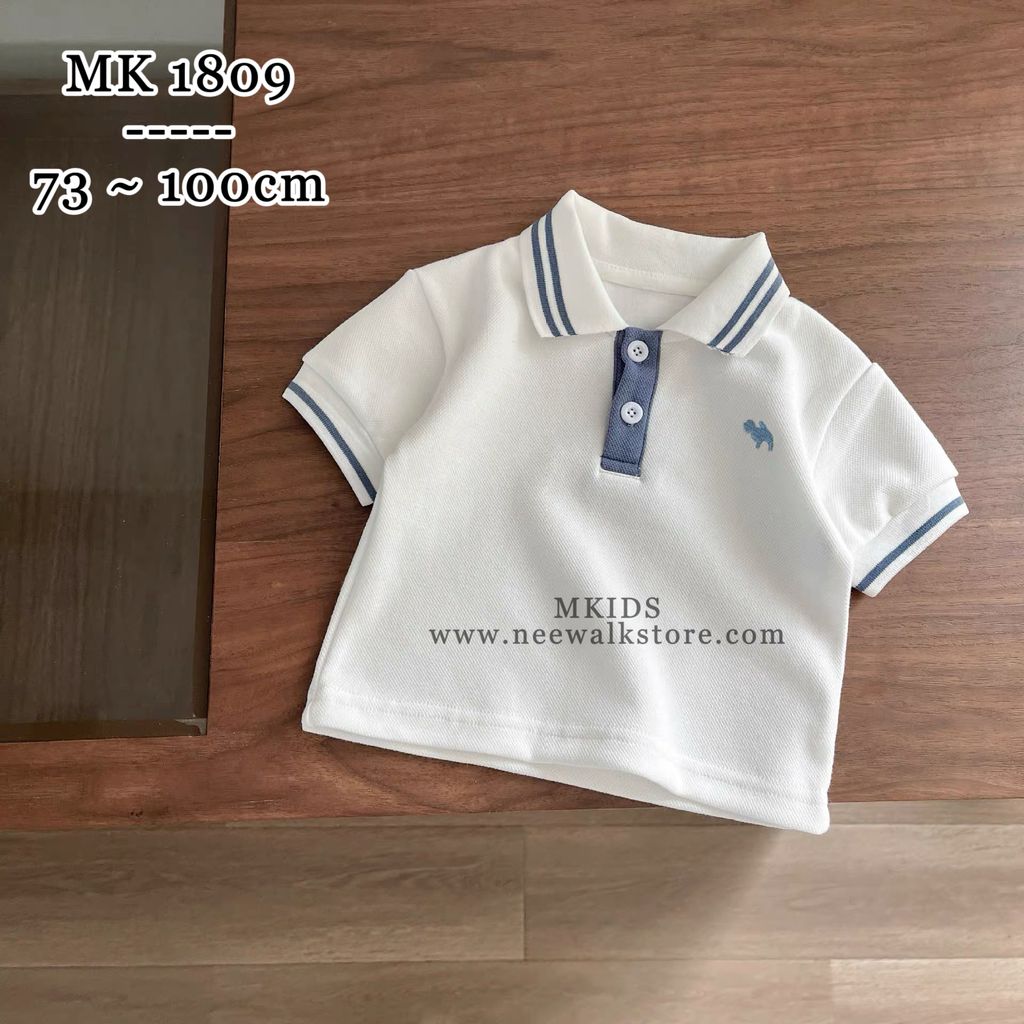 image_92AA6E33-49B4-4CD4-8D40-239761513B55_1755132070