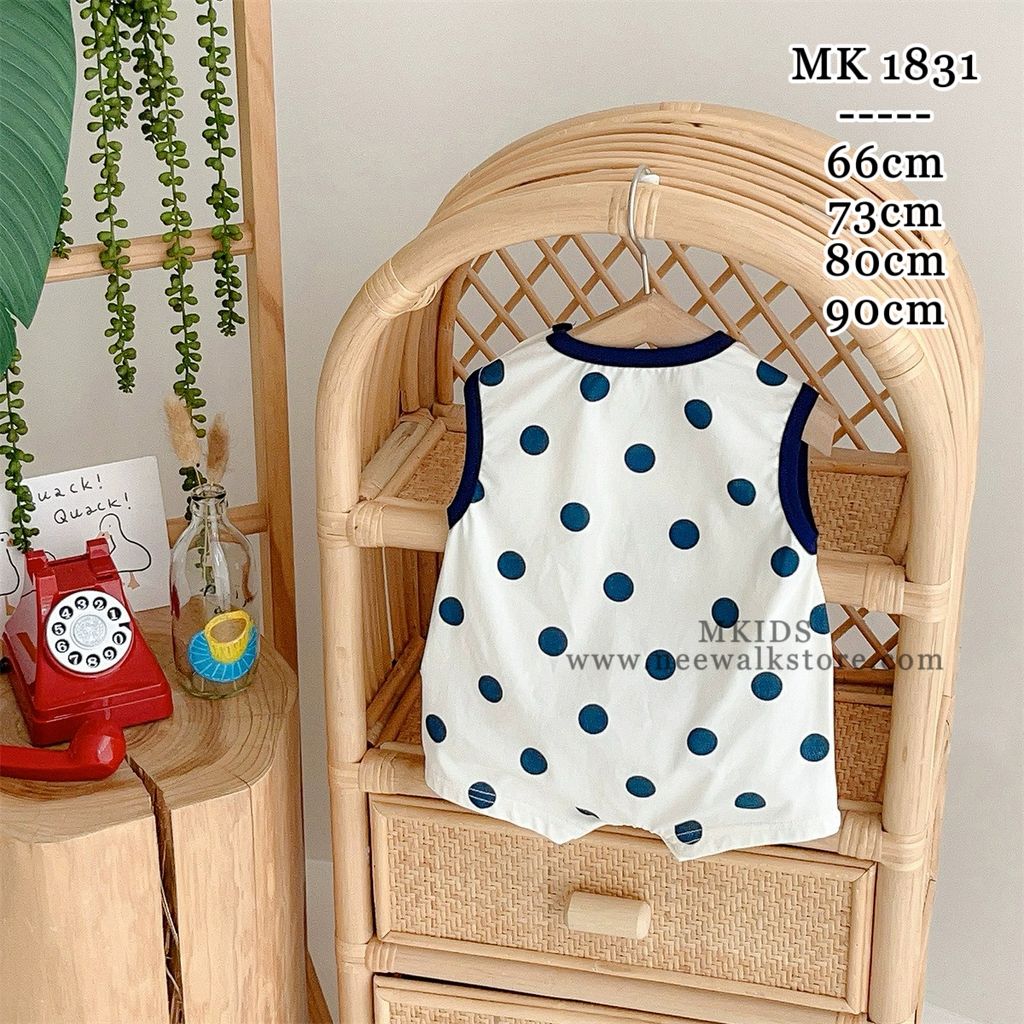 image_2294FDF9-A53C-4C03-8E38-B00DED9B913A_1755186928