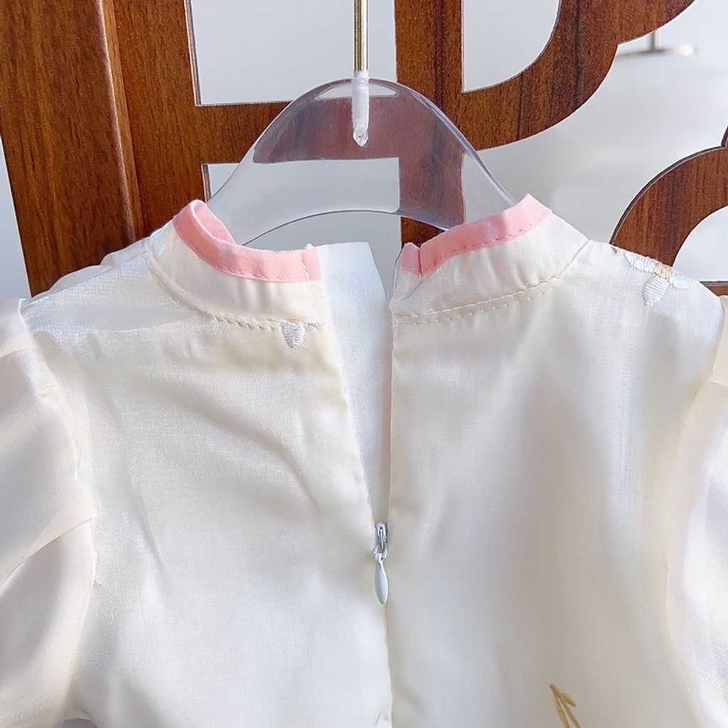 IMG_3553-1704795012021