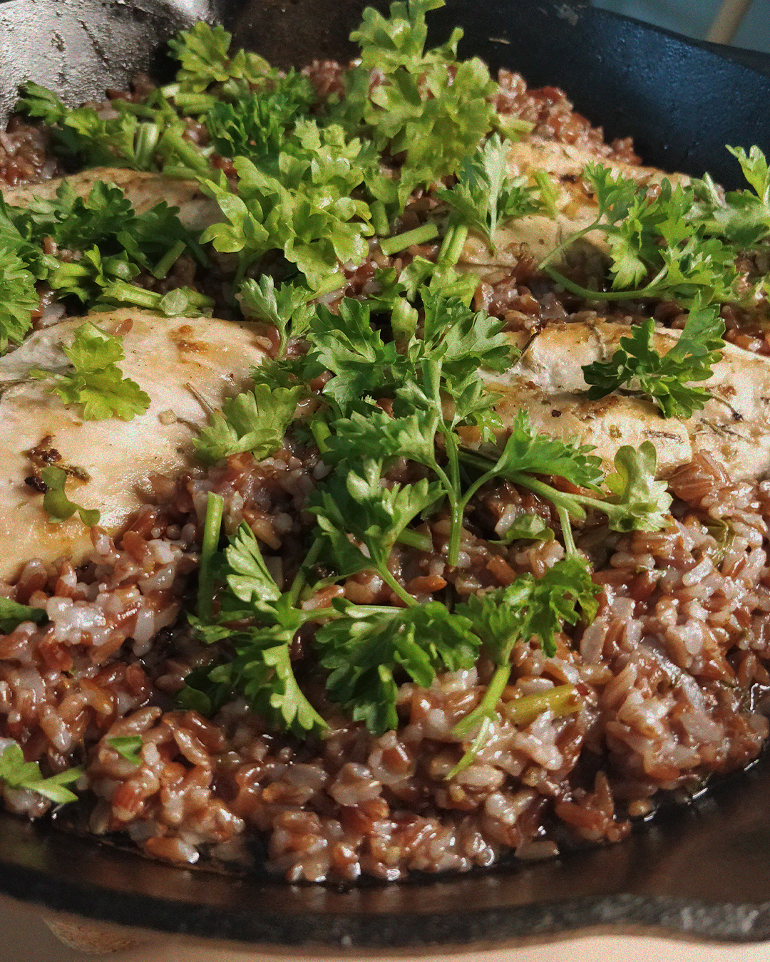 vinegar chicken with rice-02.png