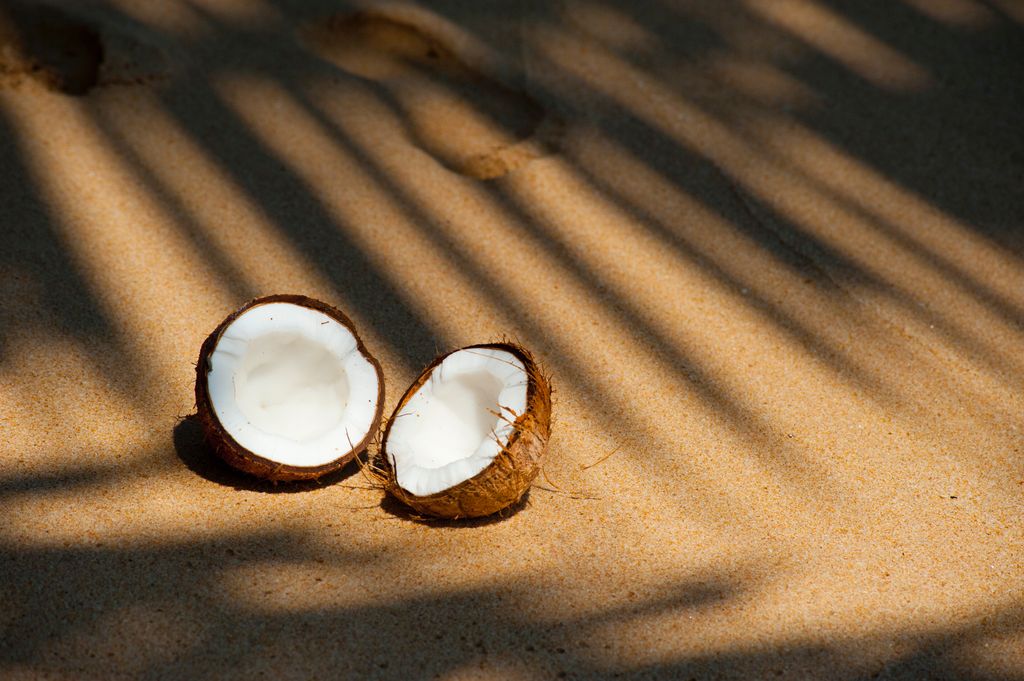 Coconut Oil v.s. Diabetes