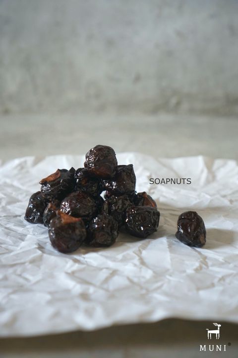 soapnuts