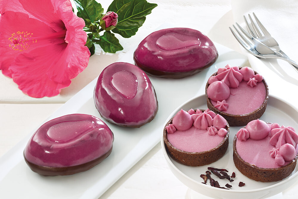 2_1_hibiscus-paste-1