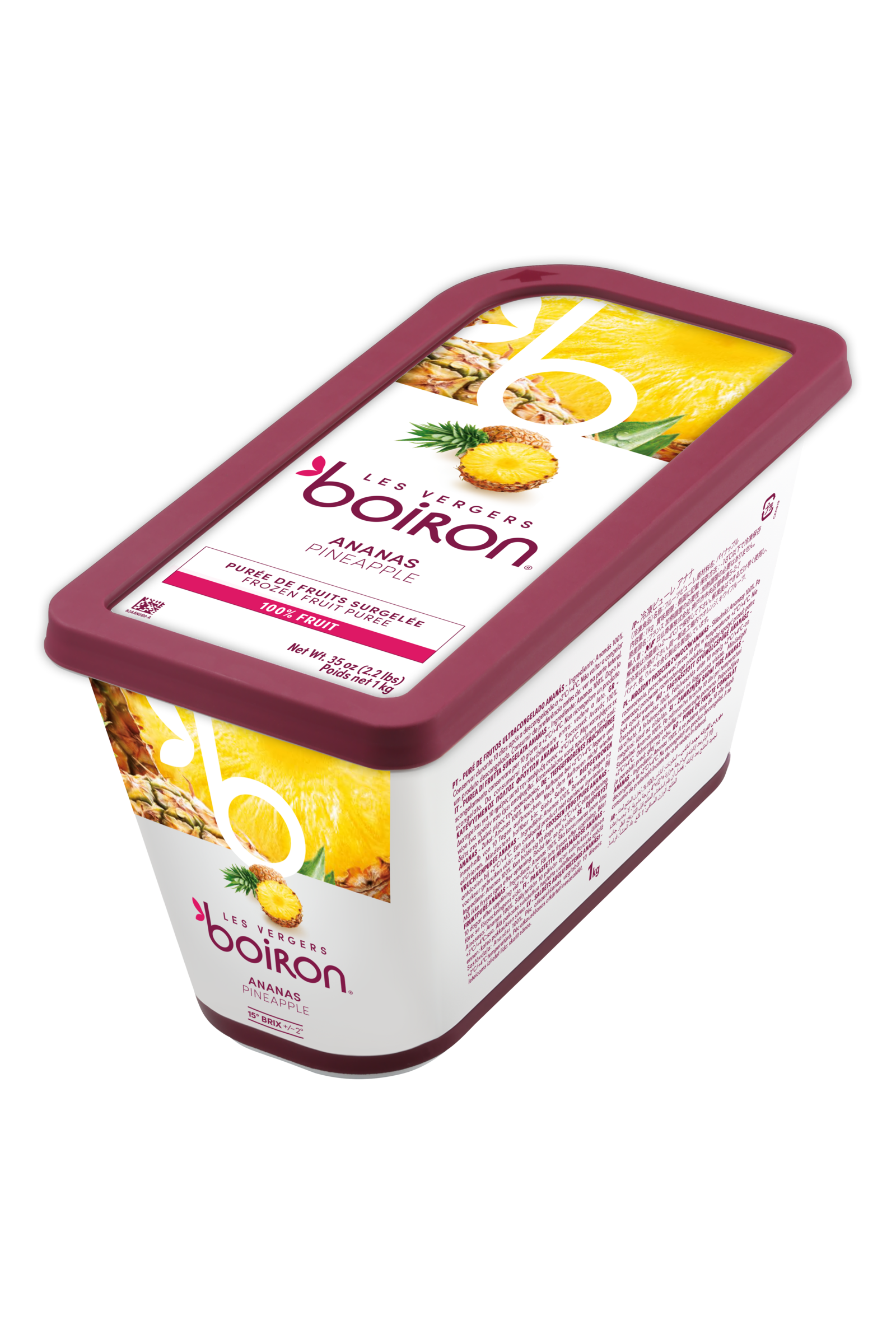 AAN0C6_-_Barquette_Ananas_100_--7600