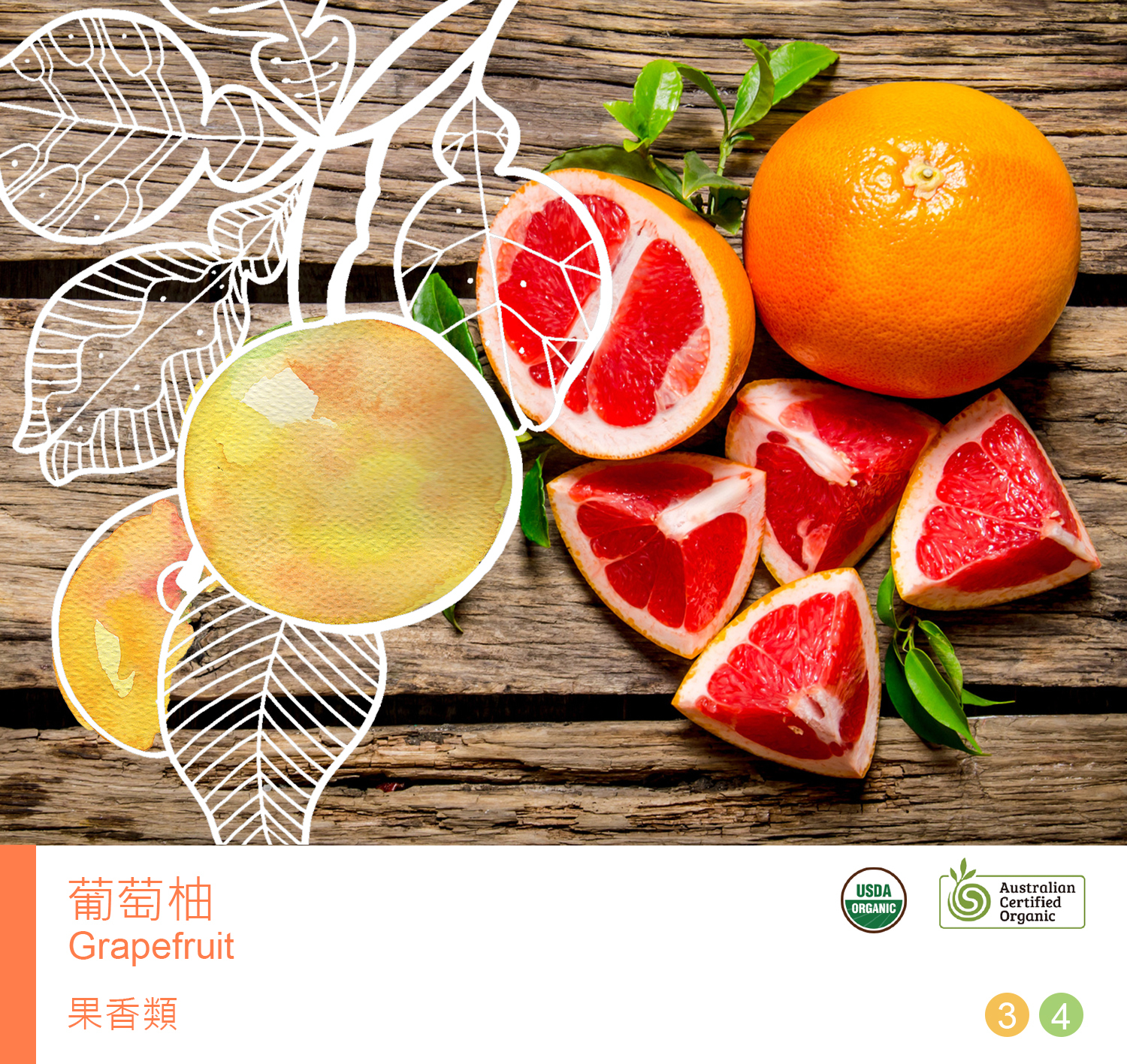 Grapefruit.jpg