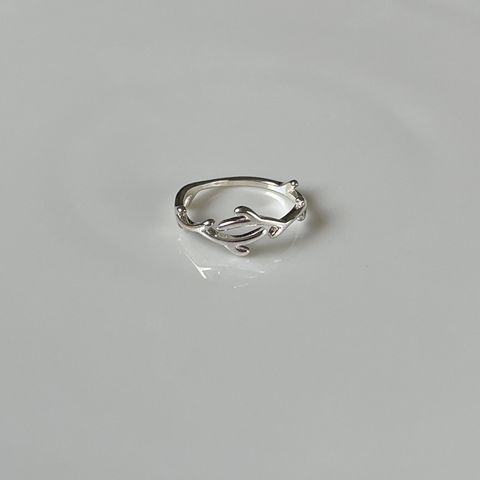 IMG_2988-1697174563953