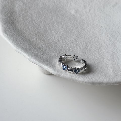 image_1B54C7E0-CE1F-4B1D-B55B-1463D664A1B9_1767179377