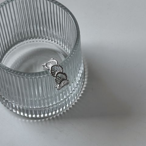 image_C239CE74-ACCD-4BF9-AAC9-294ACD5AC891_1768202840