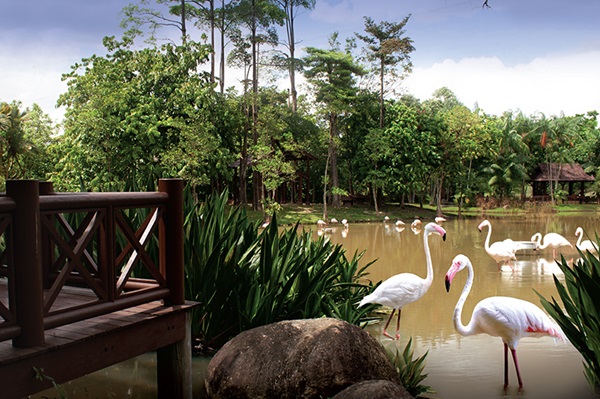 Taman Wetland Putrajaya.jpeg