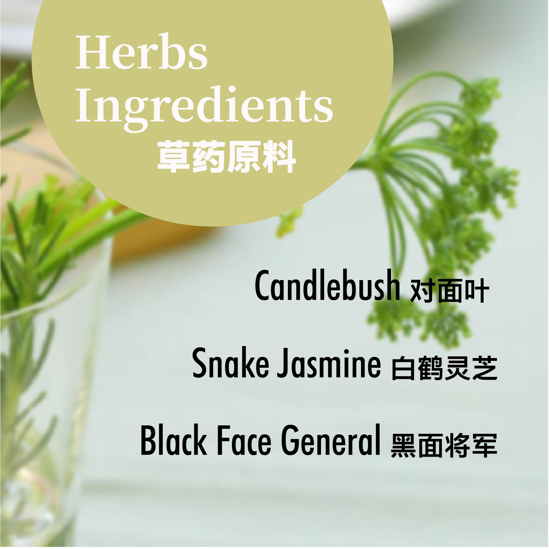 CB ingredientspng-01