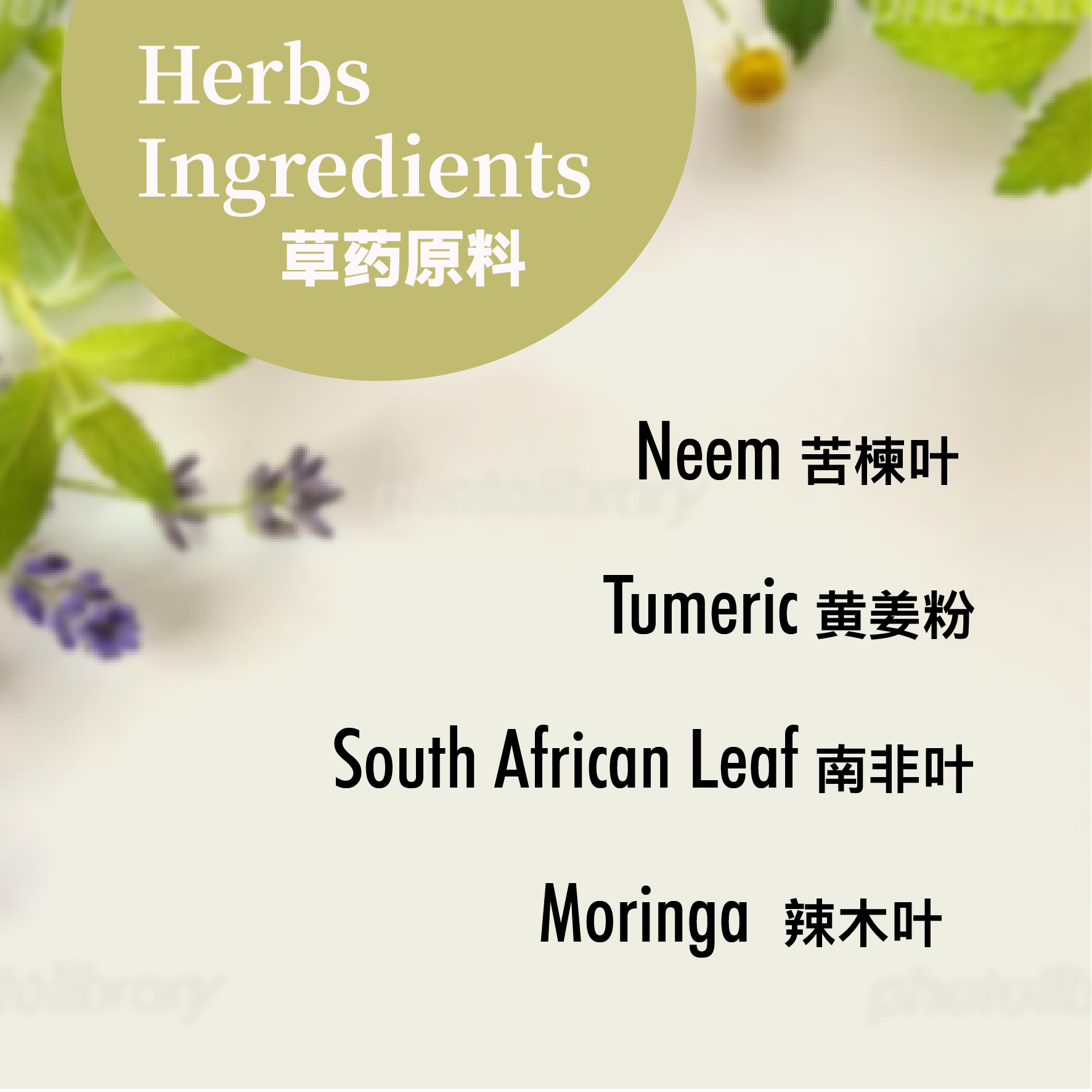 Neem Soap Ingredients-01