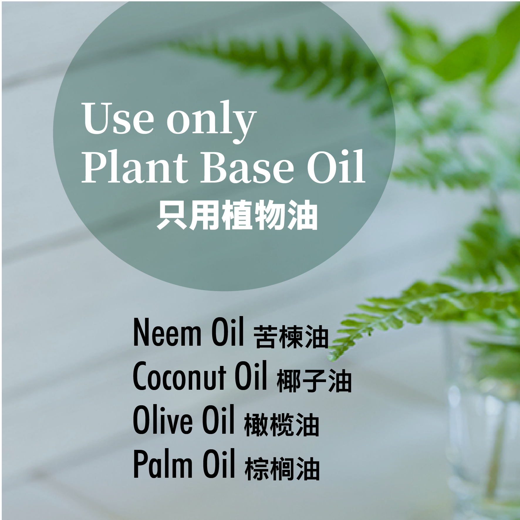 Neem soap oils-01