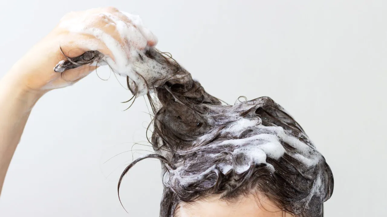  What to Expect When Switching to a Shampoo Bar  转用洗发皂会遇到什么情况？