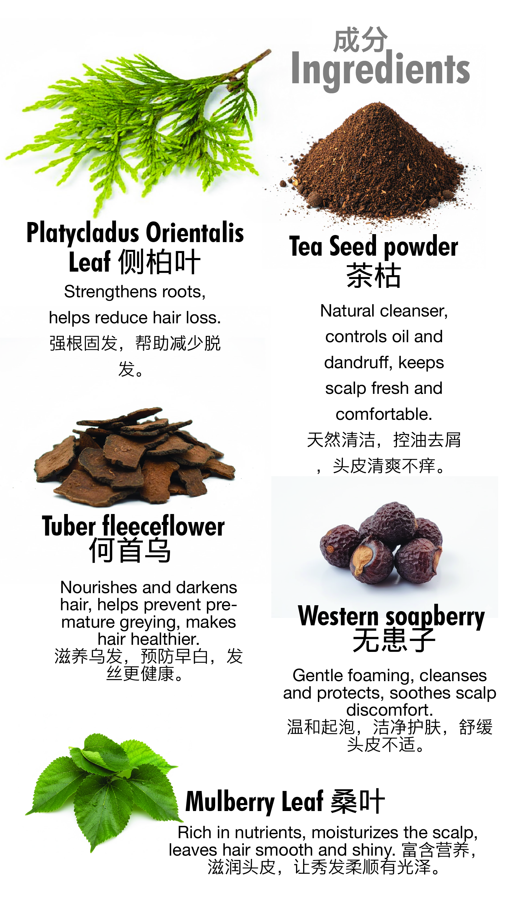 Ingredients-01
