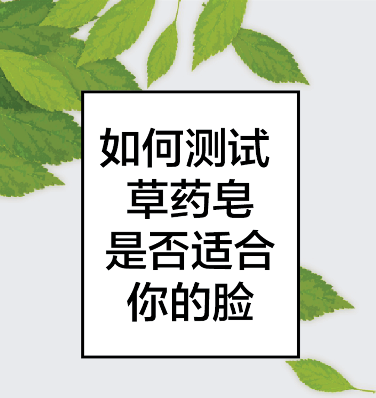 测试草药皂