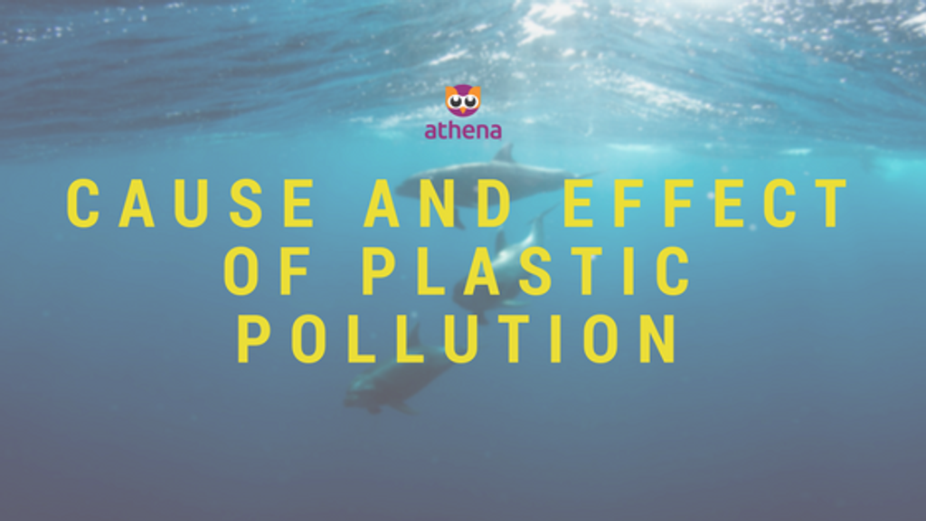 Cause and Effect of Plastic Pollution