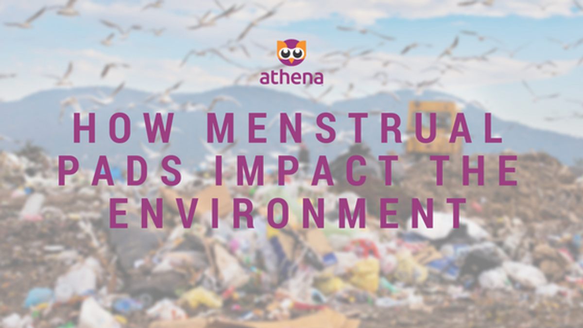 How menstrual pads impact the environment Athena Empowers