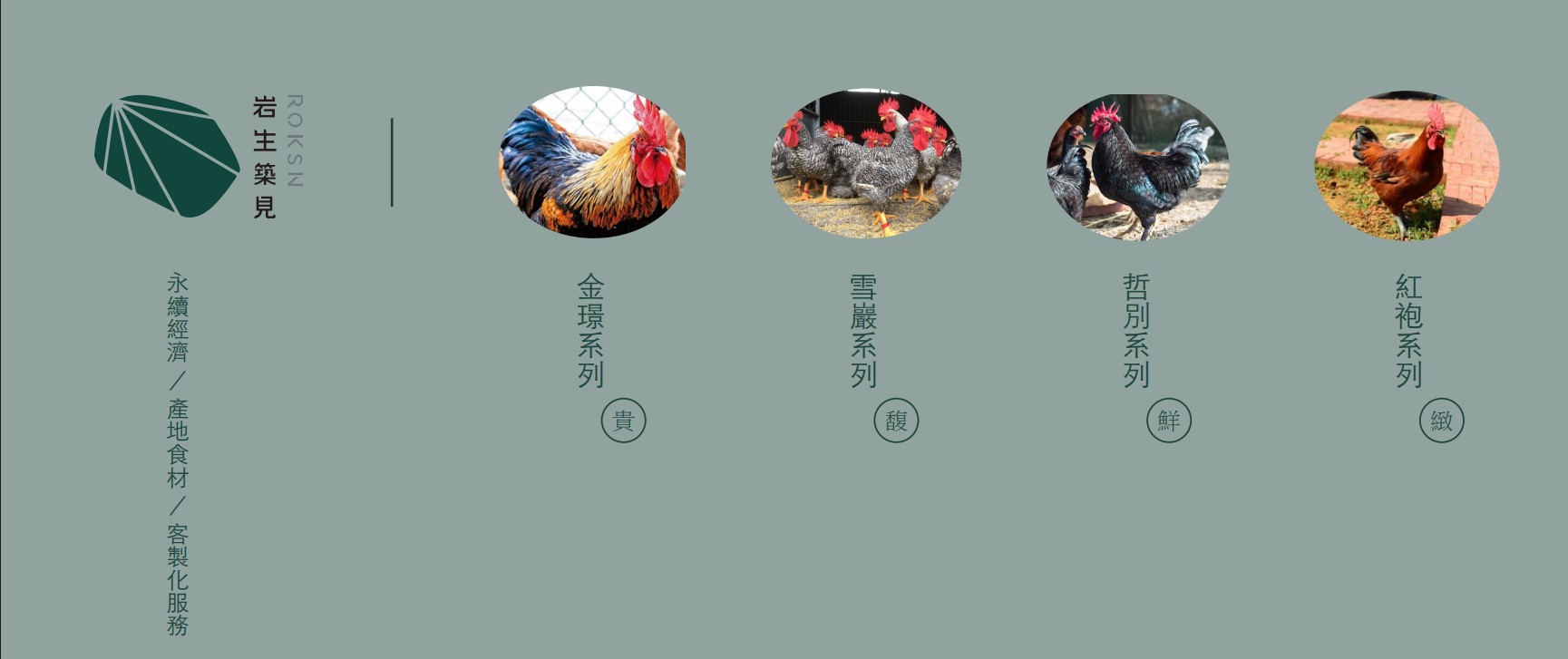 四種雞種