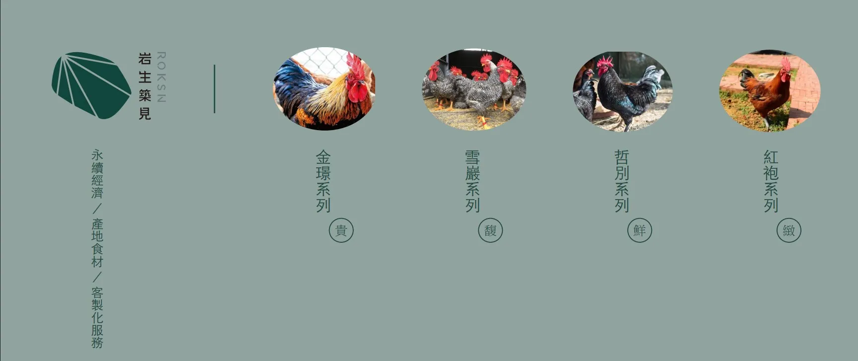 四種雞種
