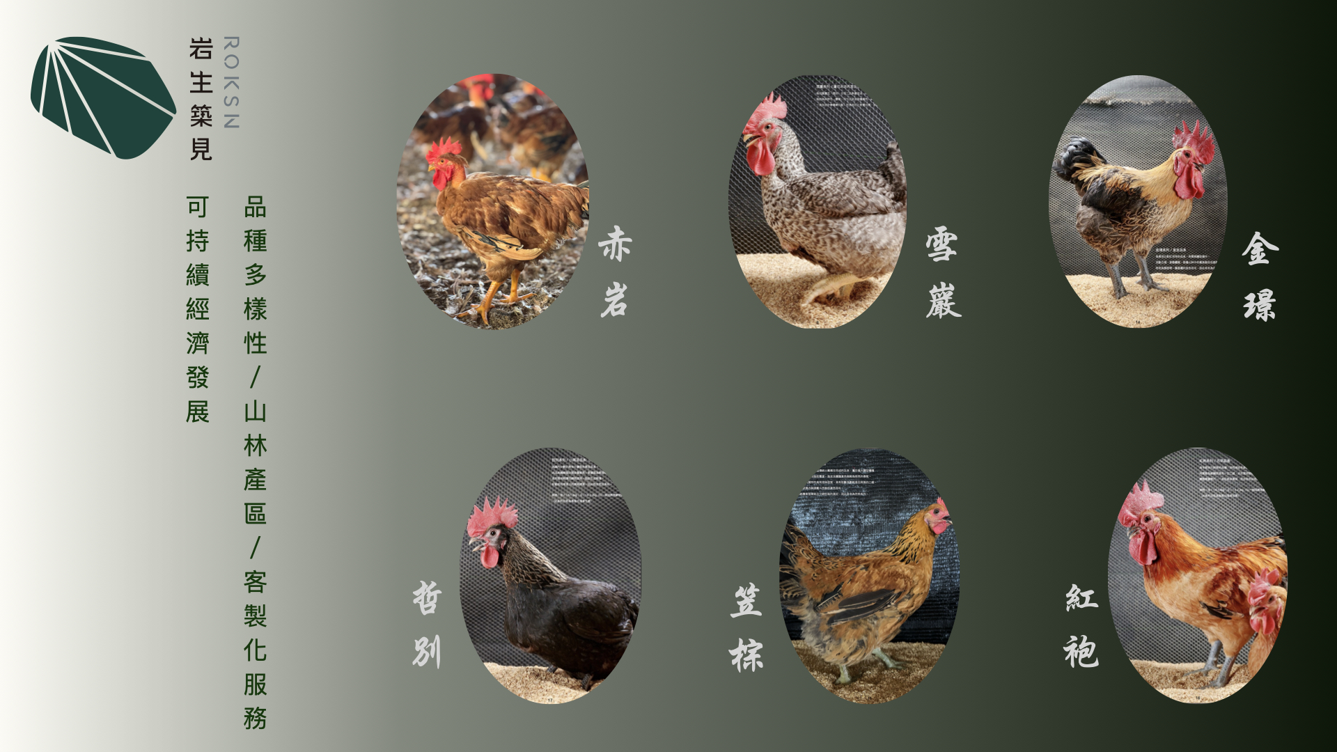 官網用多品系圖片20260508.001.jpeg.001