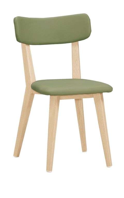 造型椅 休閒椅 餐椅 (4).jpg