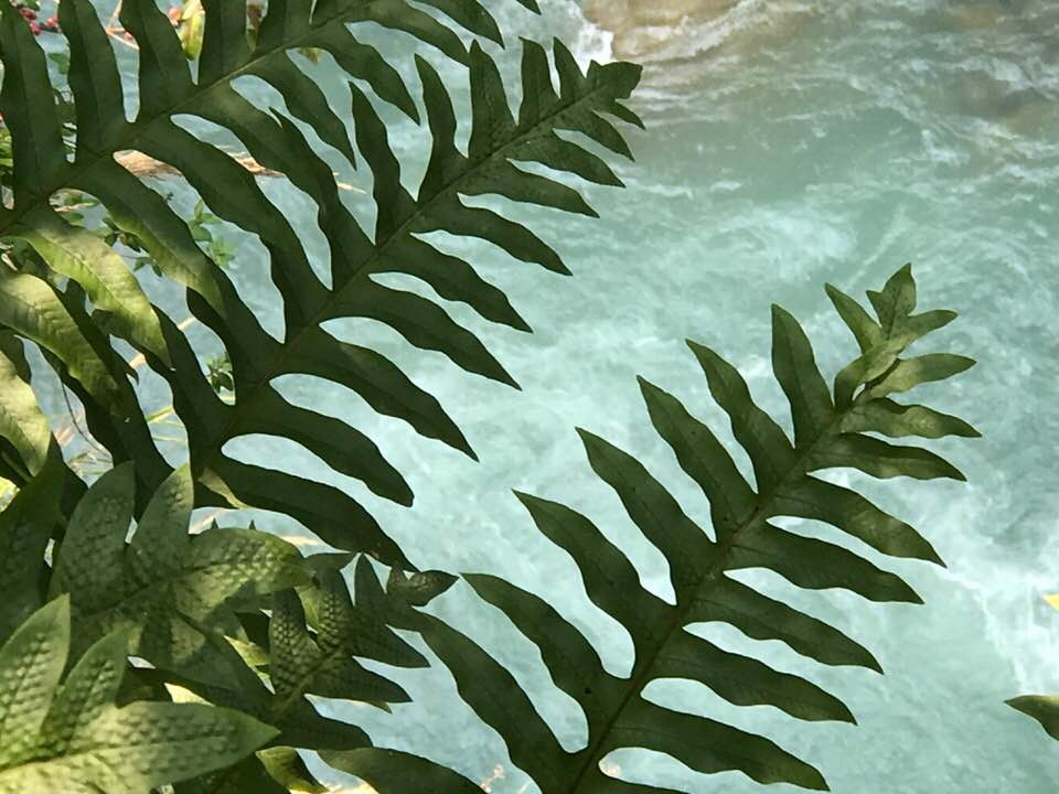 30712346_1823023091070270_5095096484651597824_n.jpg