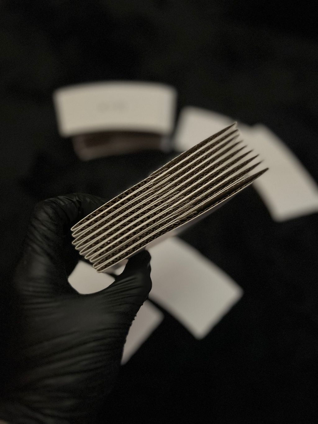 image_541BFC13-F6FB-4D32-9F8B-C780C9A62A7D_1769003202