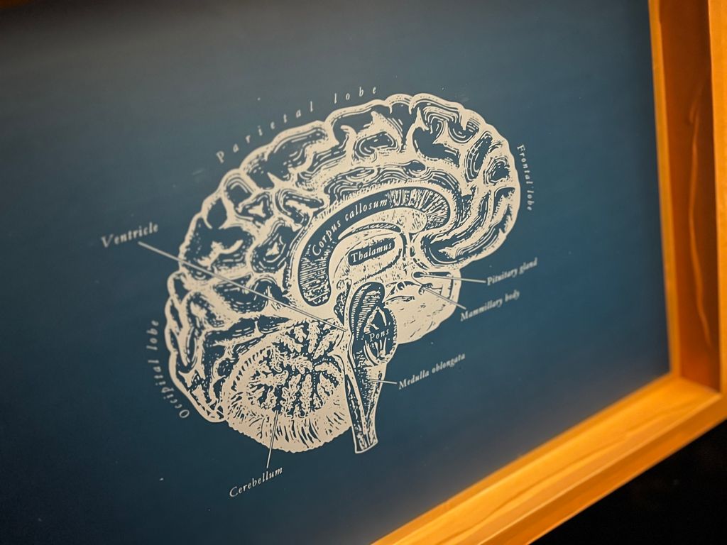 image_92088E32-2E7A-4B8C-A920-F4370359588C_1769006936