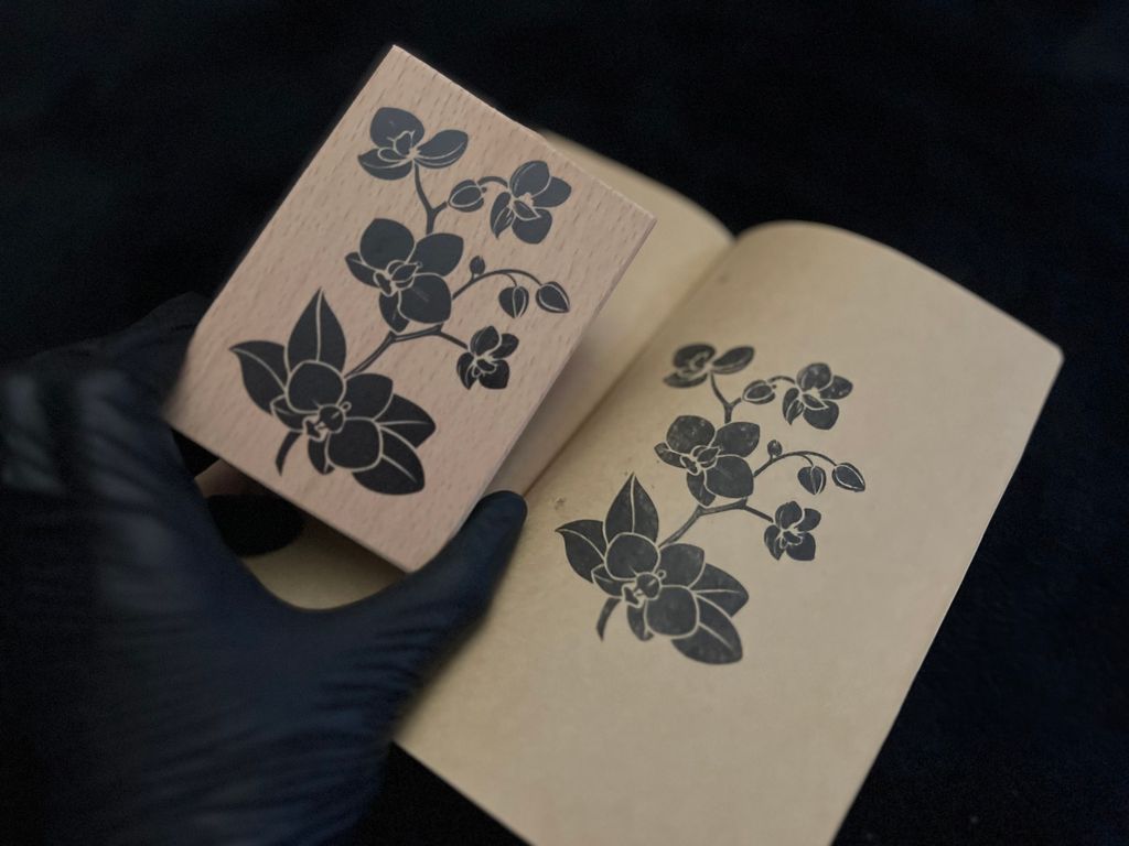 image_79D754BC-09DB-4F7C-BBCD-839F3093FB7A_1769007253