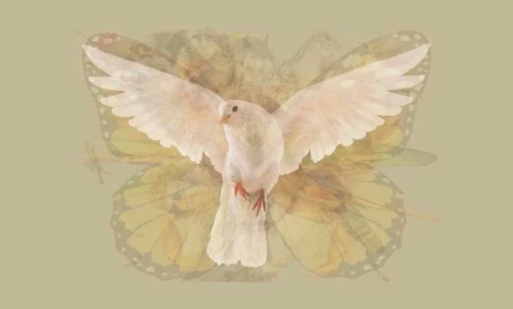 Personaliti Apa Yang Strong Dalam Diri Korang Cuba Test Ammaira