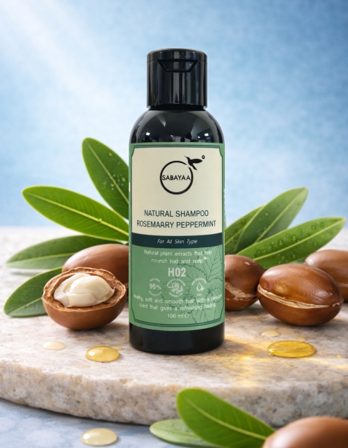 螢幕擷取畫面_24-3-2026_152230_chatgpt.com