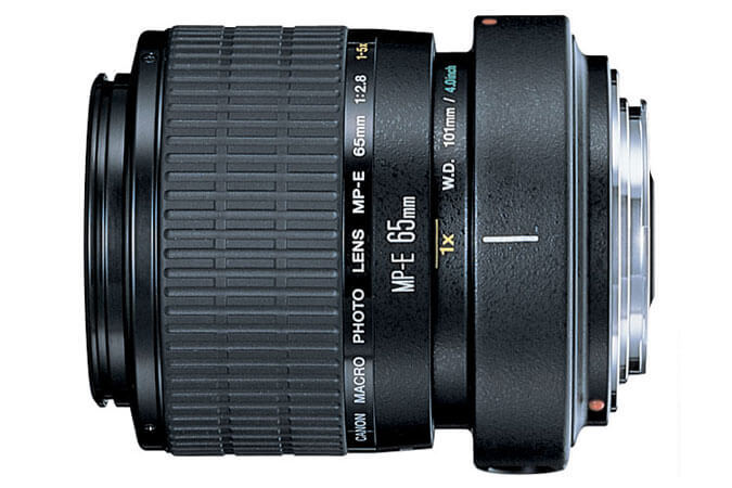MP-E 65mm f_2.8 1-5x Macro Photo 1.jpg