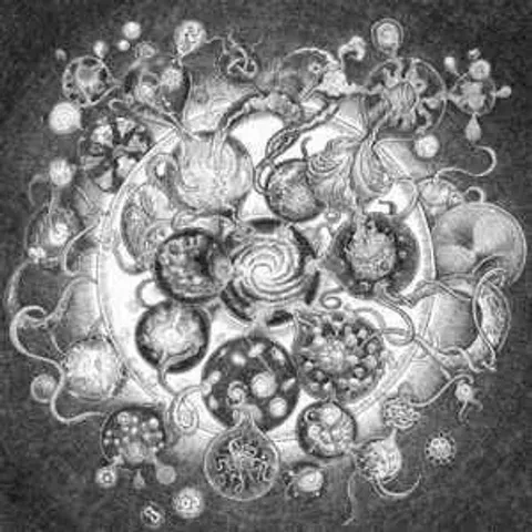 LONG DISTANCE CALLING Long Distance Calling CD.jpg