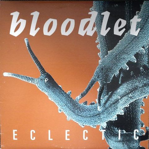 BLOODLET Eclectic LP.jpg