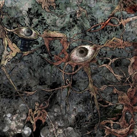 ASHEN H1N1 CD Taiwan Death MEtal Grindcore