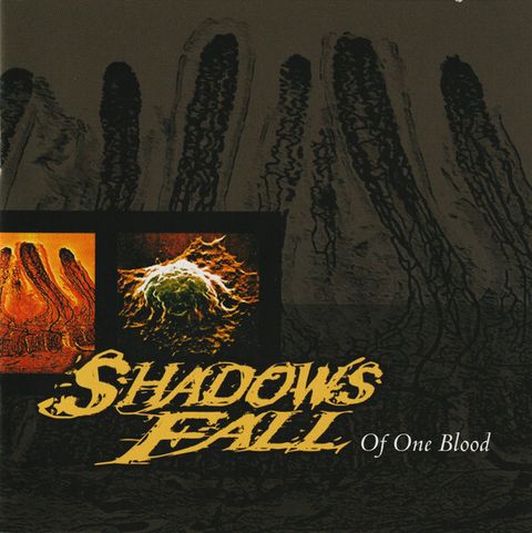 SHADOWS FALL Of One Blood CD