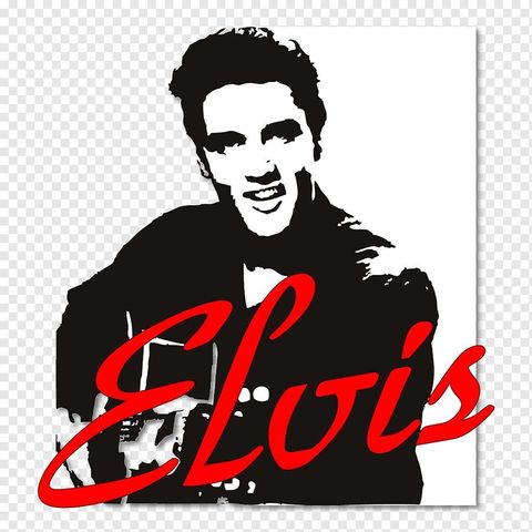 ELVIS logo