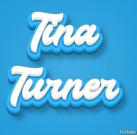 TINA TURNER logo