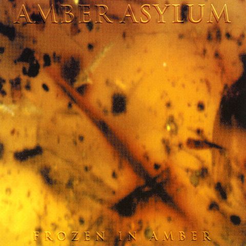 AMBER ASYLUM Frozen in Amber