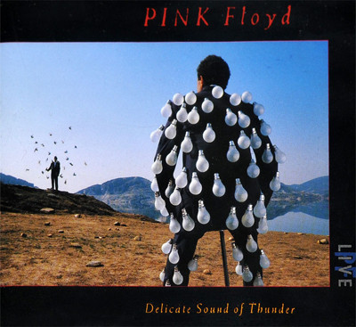 PINK FLOYD Delicate Sound Of Thunder (fat jewel case) 2CD.jpg
