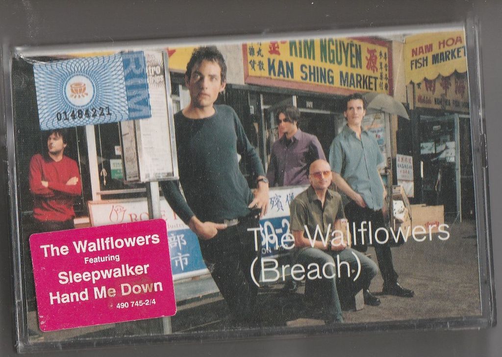 THE WALLFLOWERS (Breach) CASSETTE.jpg