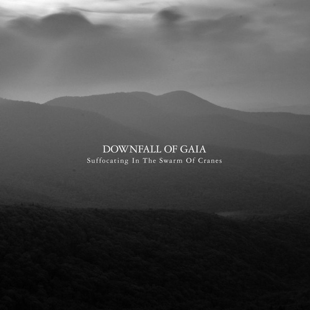 DOWNFALL OF GAIA Suffocating In The Swarm Of Cranes CD.jpg