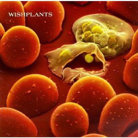 WISHPLANTS Coma CD.jpg