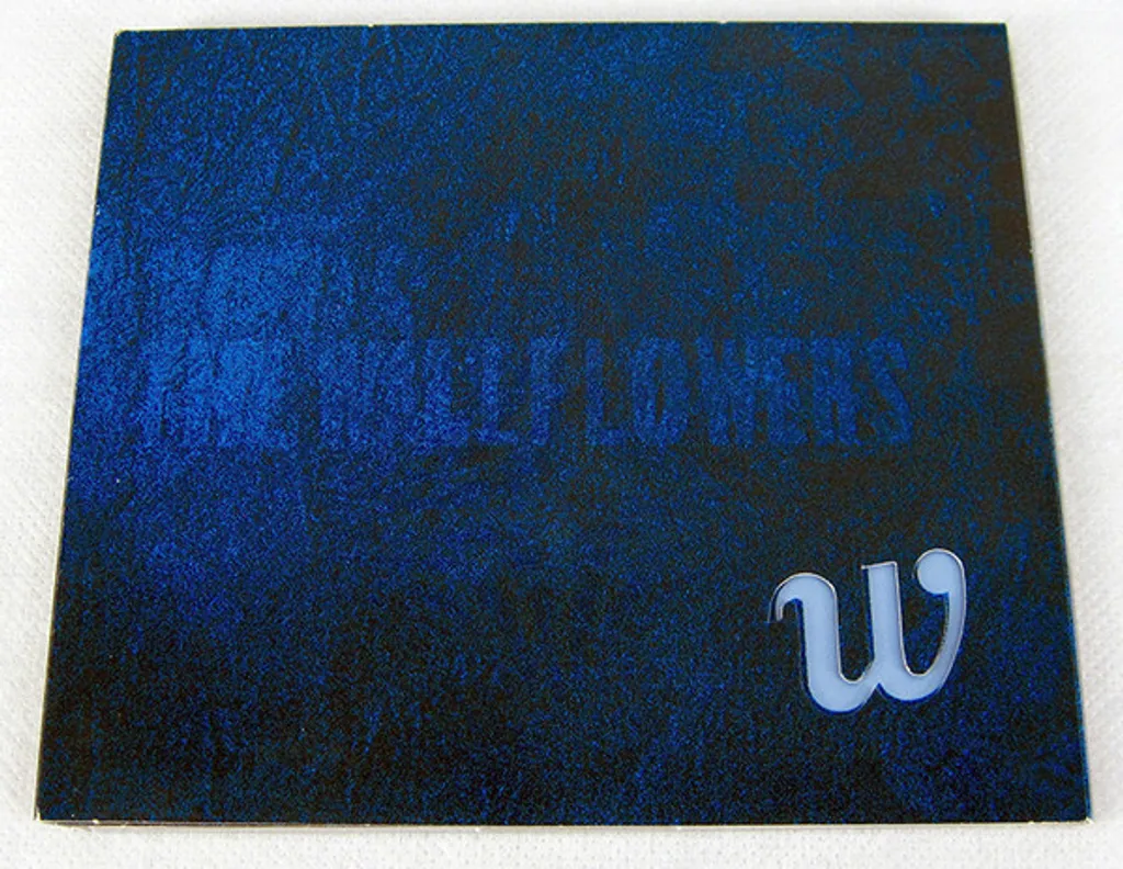 THE WALLFLOWERS Heroes CD.jpg