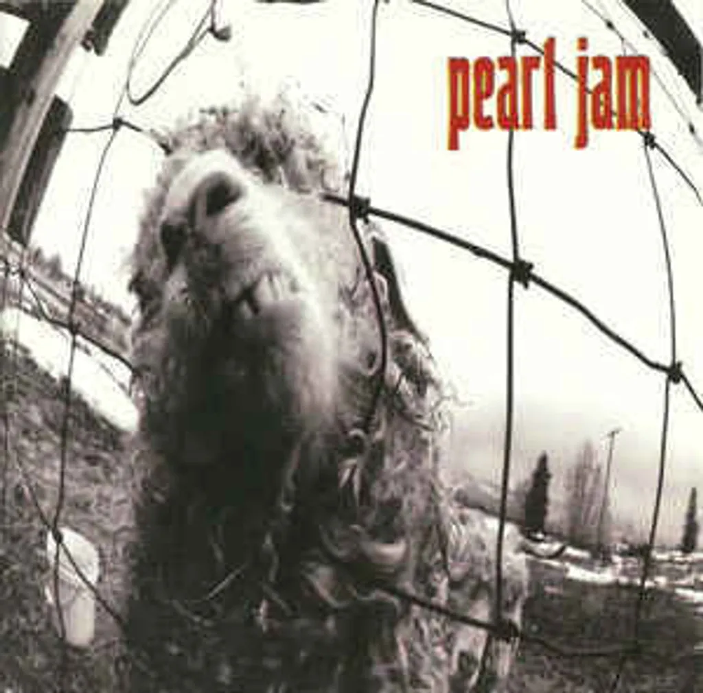 PEARL JAM Vs CD.jpg