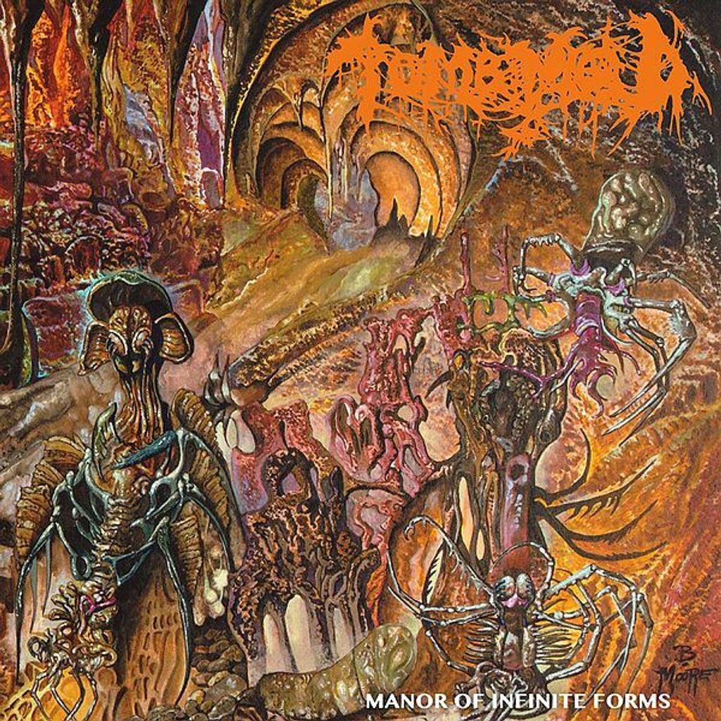 TOMB MOLD Manor Of Infinite Forms CD.jpg