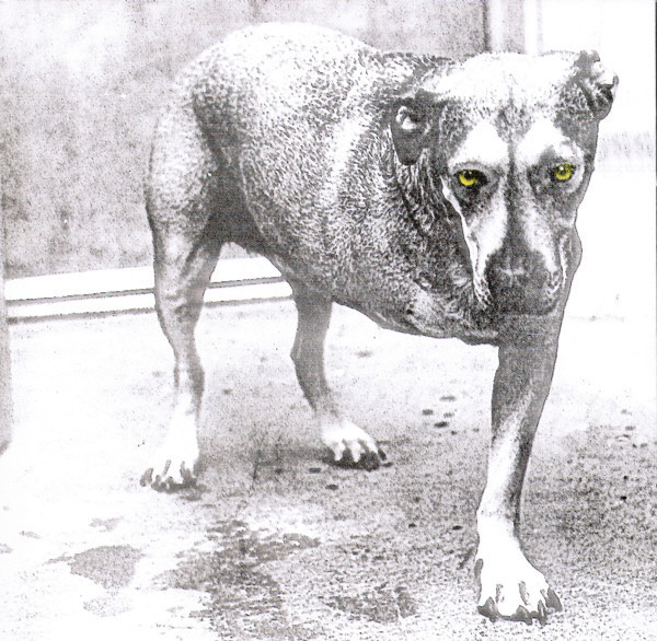 ALICE IN CHAINS Alice In Chains.jpg